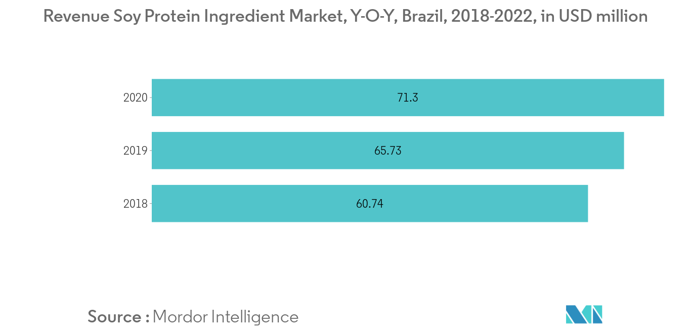 south america plant protein market1