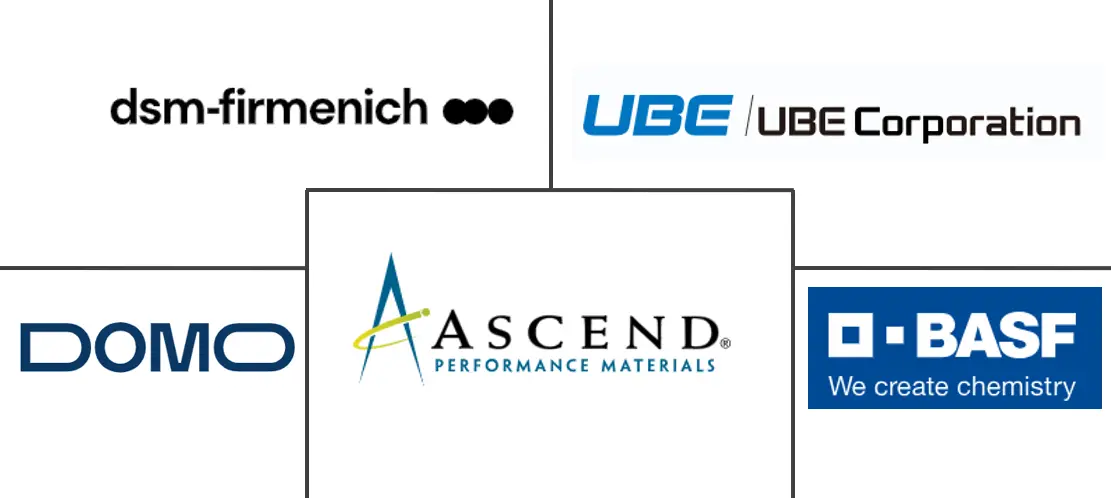 남미 스피드 바카라 사이트 산업의 주요 참여자