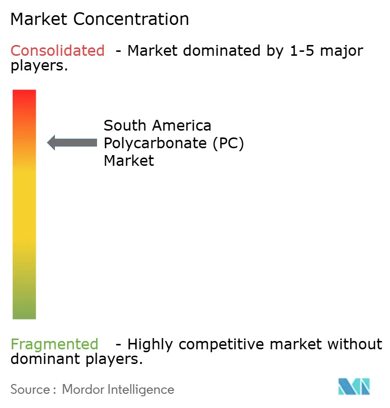 South America Polycarbonate (PC) Market - Market Concentration