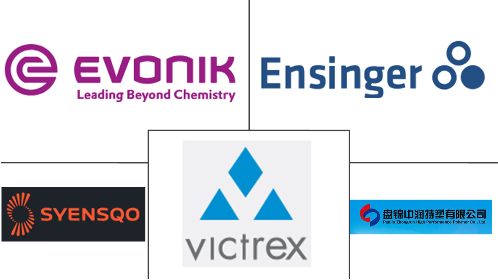 Major players in South America Polyether Ether Ketone (PEEK) industry