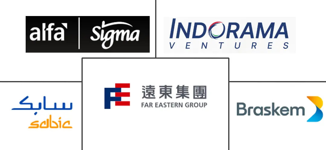 남미 먹튀없는 바카라사이트 테레프탈레이트(PET) 산업의 주요 기업