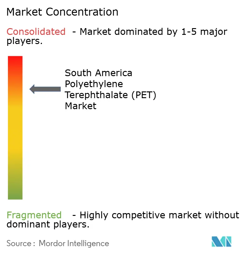 South America Polyethylene Terephthalate (PET) Market - Market Concentration
