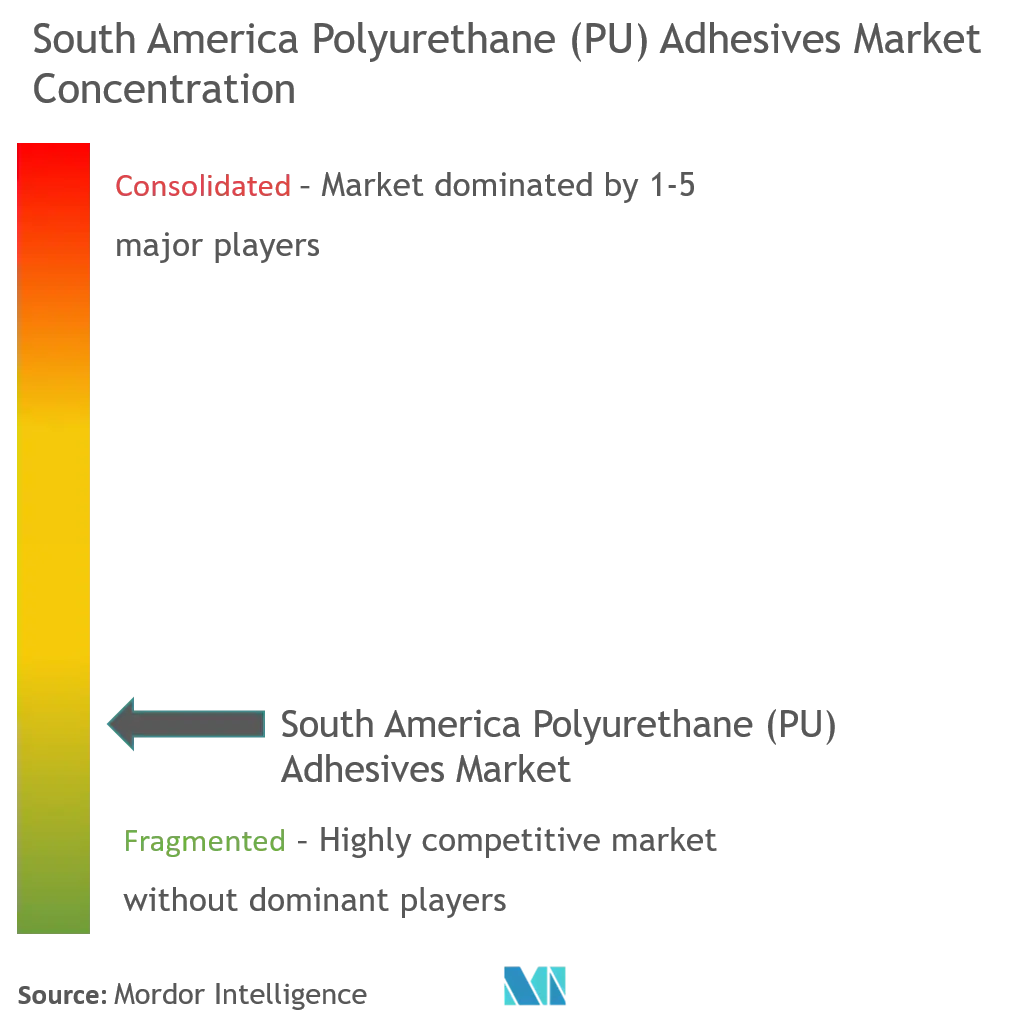 South America Polyurethane (PU) Adhesives Market - Market Concentration.png
