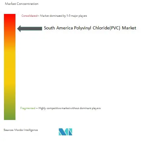 Concentración del mercado de cloruro de polivinilo (PVC) en América del Sur