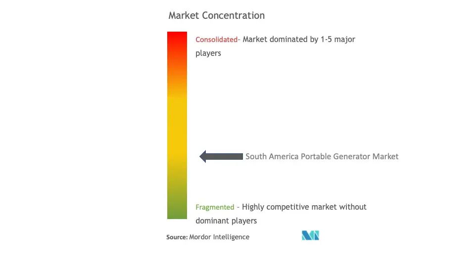 South America Portable Generator Market Concentration