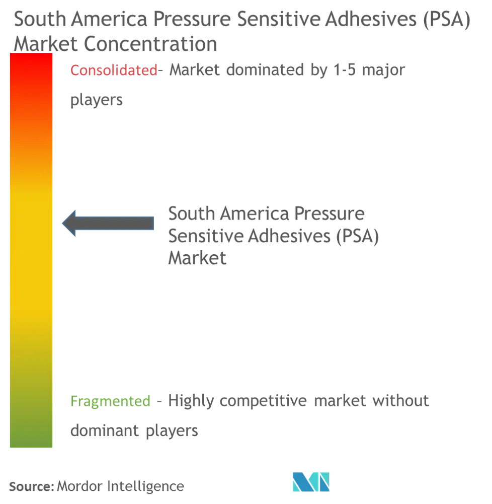 South America Pressure Sensitive Adhesives (PSA) Market - Market Concentration.PNG