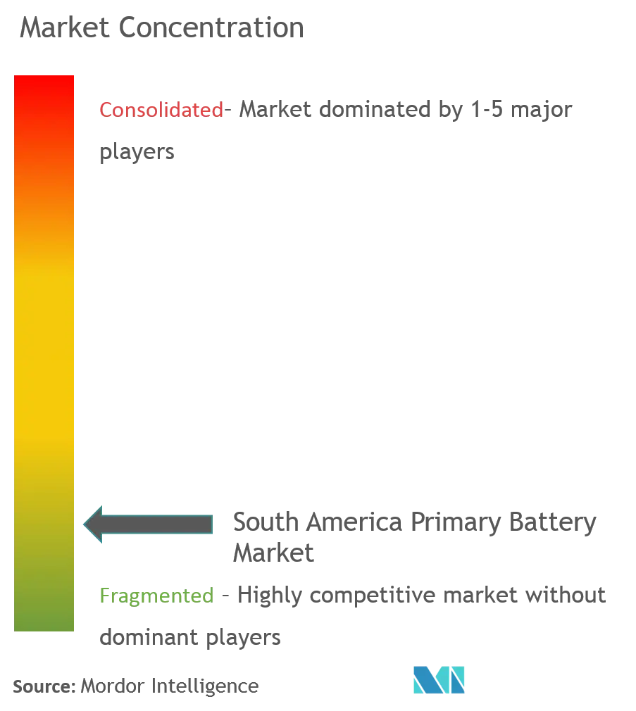 Concentración del mercado de baterías primarias en América del Sur