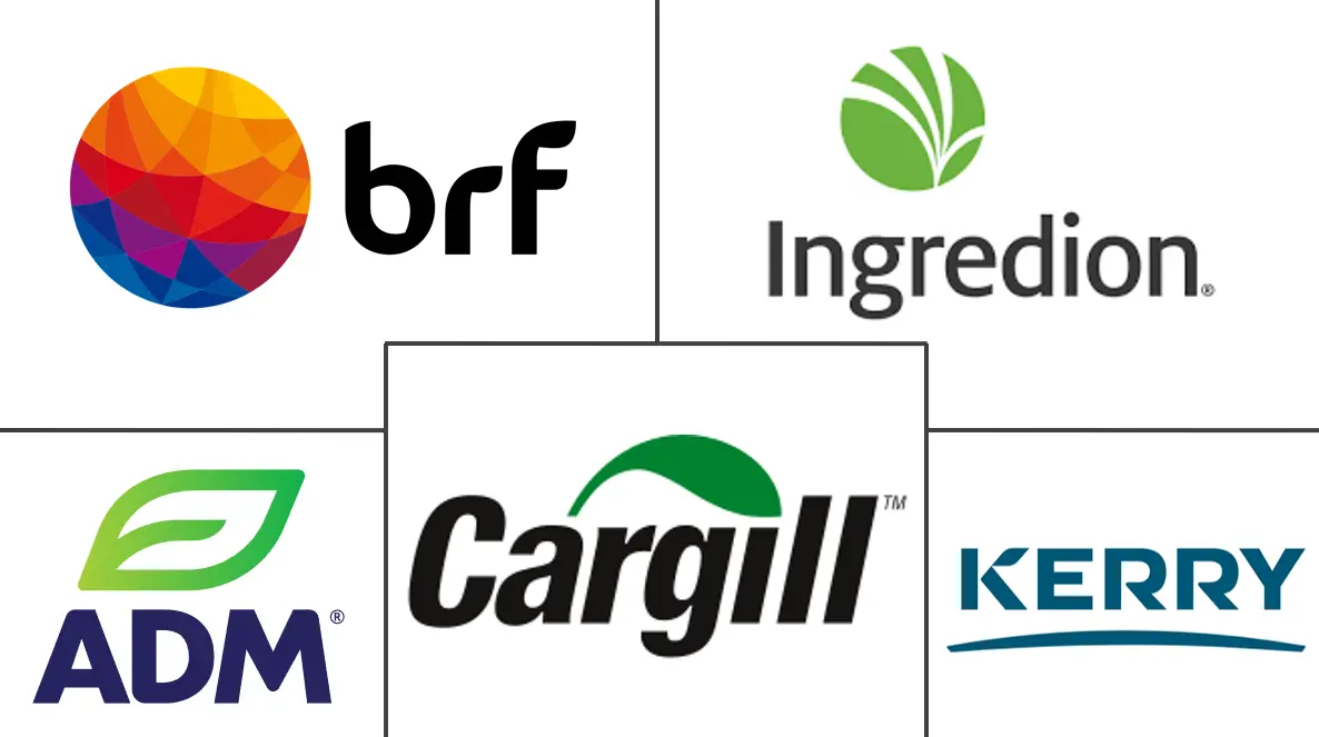 Major players in South America Protein industry