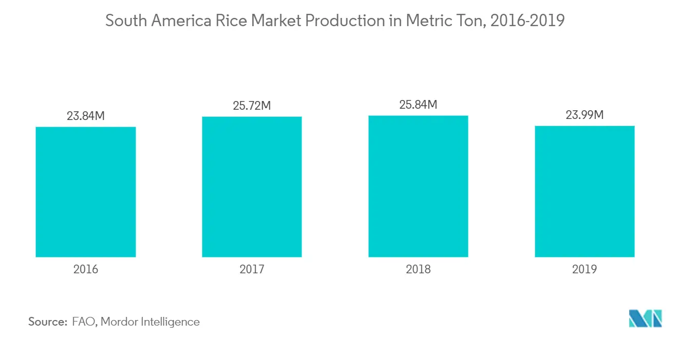 South America Rice Market Analysis