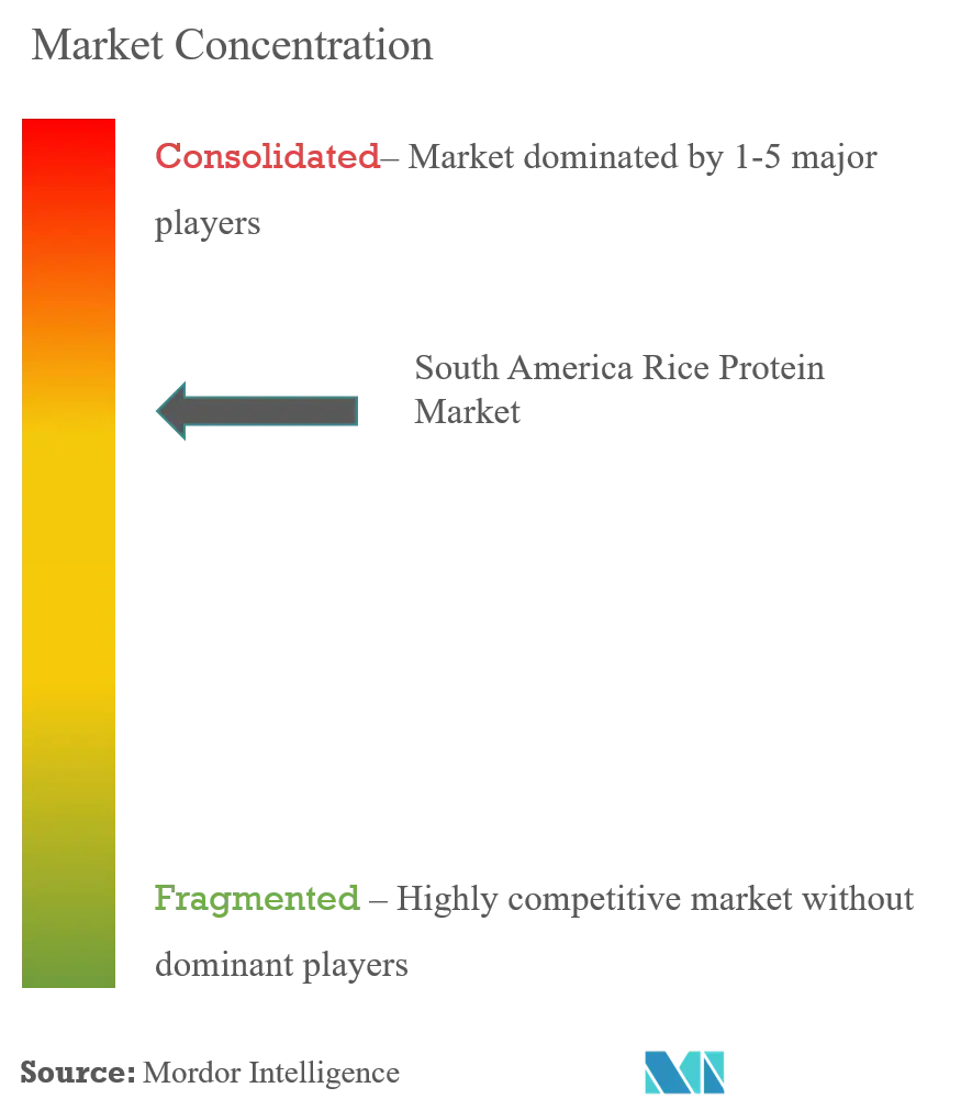 South America Rice Protein Market Concentration