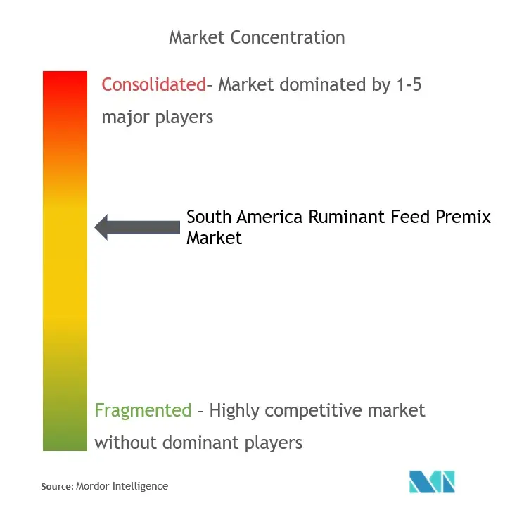 Premezcla de piensos para rumiantes de América del SurConcentración del Mercado