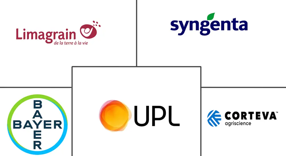 남미 2025 바카라사이트 산업의 주요 참여자