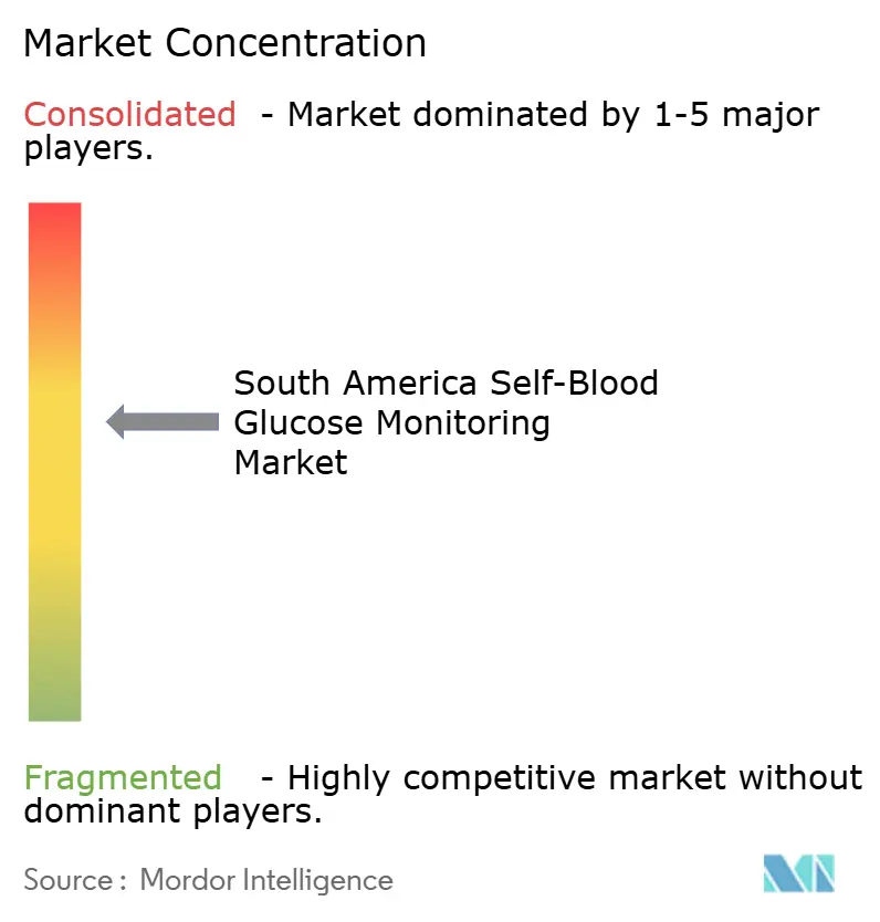 South America Self-Blood Glucose Monitoring Market Concentration