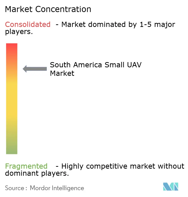 South America Small UAV Market Concentration