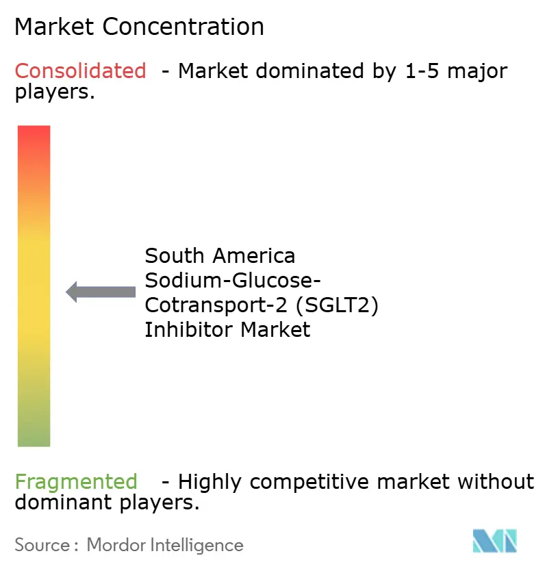 Concentration du marché des inhibiteurs du cotransporteur sodium-glucose-2 (SGLT2) en Amérique du Sud