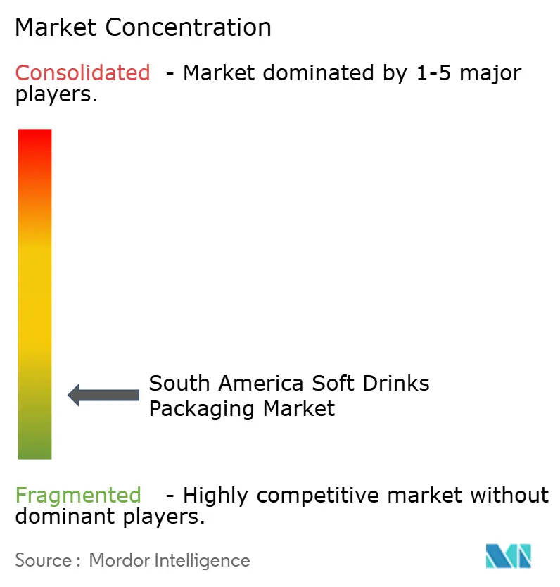 South America Soft Drinks Packaging Market Concentration