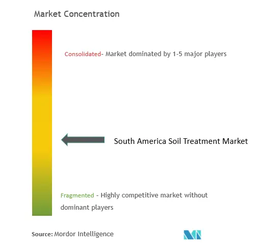 South America Soil Treatment Market Concentration