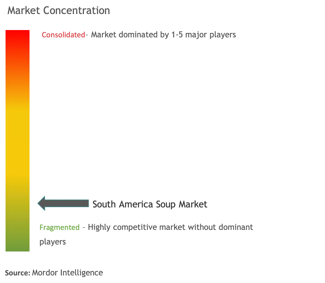 South America Soup Market Concentration