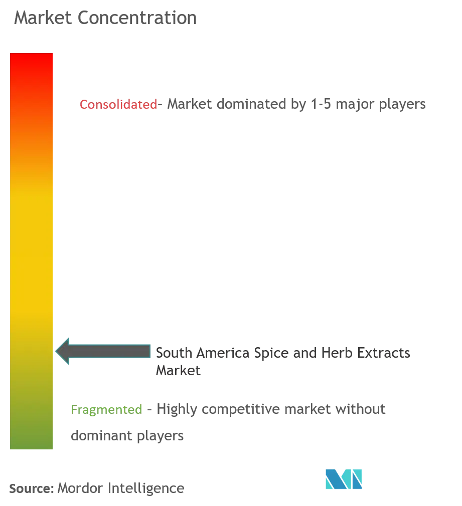 Extractos de especias y hierbas de América del SurConcentración del Mercado