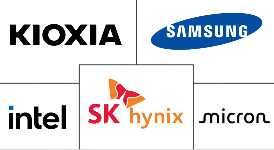Principais participantes em Mercado de SSD Caching na América do Sul indústria