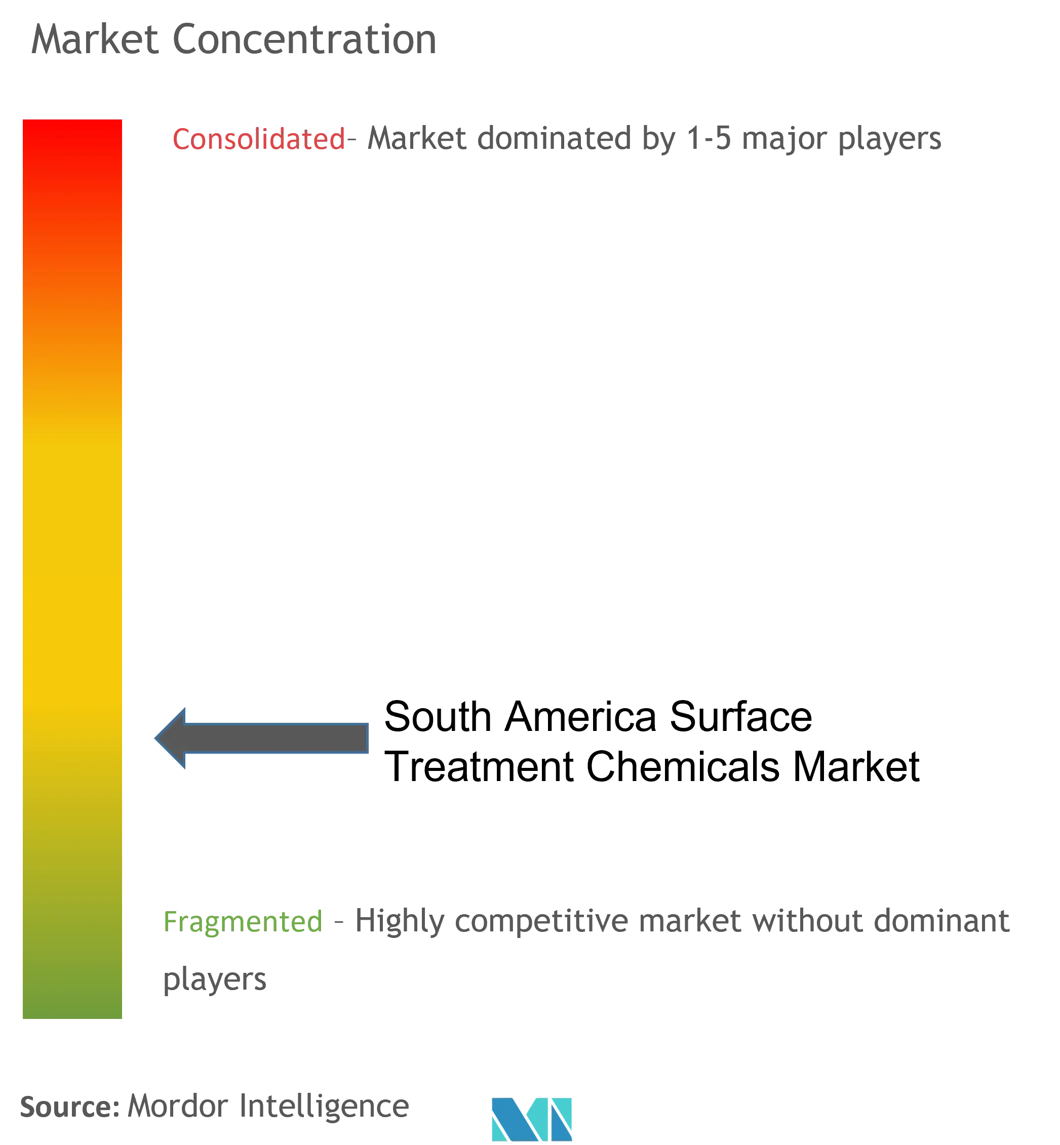 South America Surface Treatment Chemicals Market Concentration