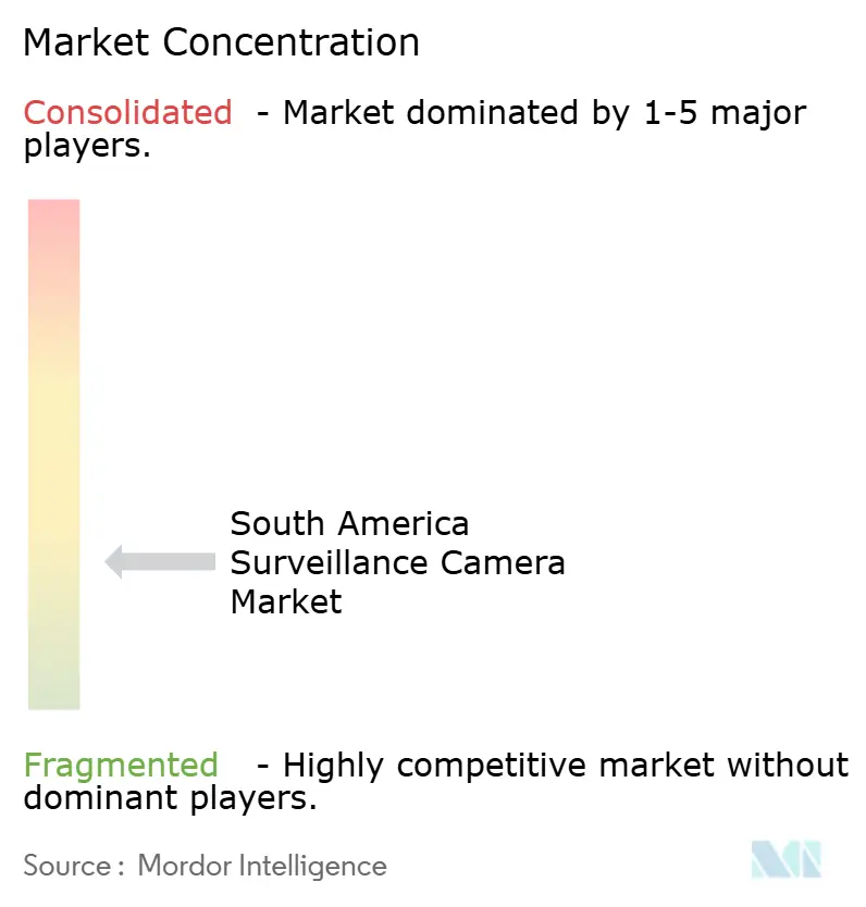 South America Surveillance Camera Market Concentration