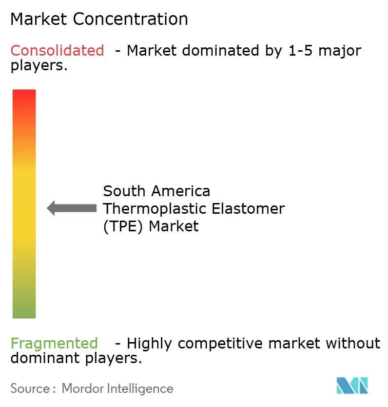 South America Thermoplastic Elastomer (TPE) Market - Market Concentration