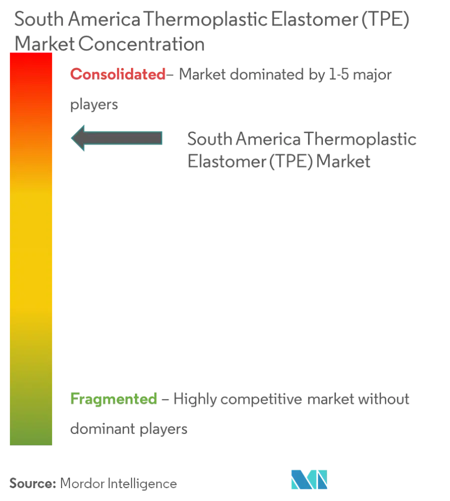 Élastomère thermoplastique (TPE) d'Amérique du SudConcentration du marché