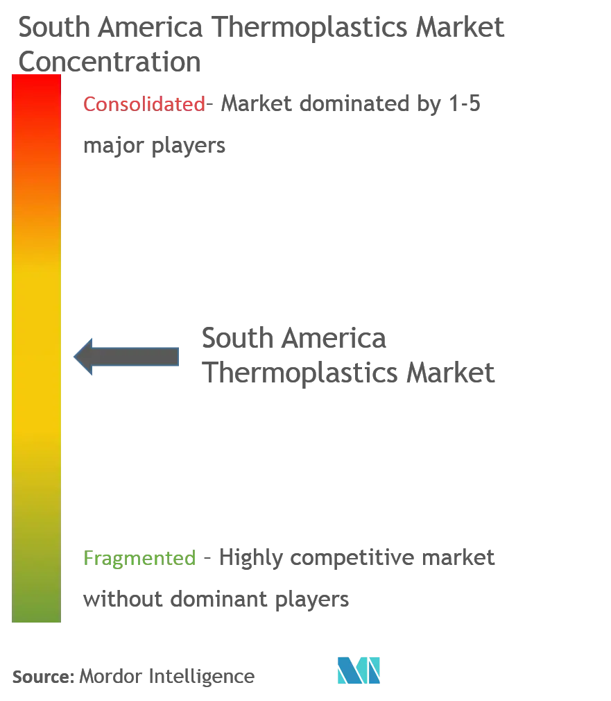 South America Thermoplastics Market - Market Concentration.png