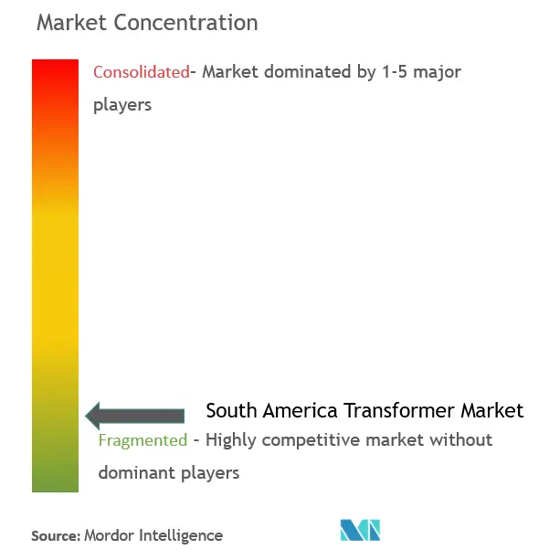 South America Transformer Market Concentration