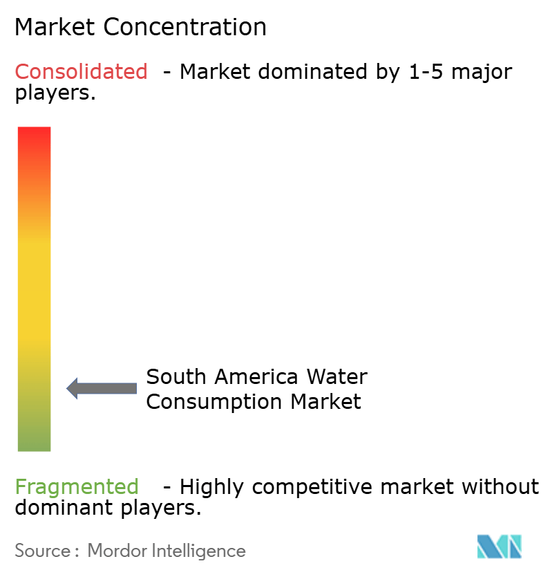 Concentración del mercado de consumo de agua en América del Sur Concentración del mercado de consumo de agua en América del Sur