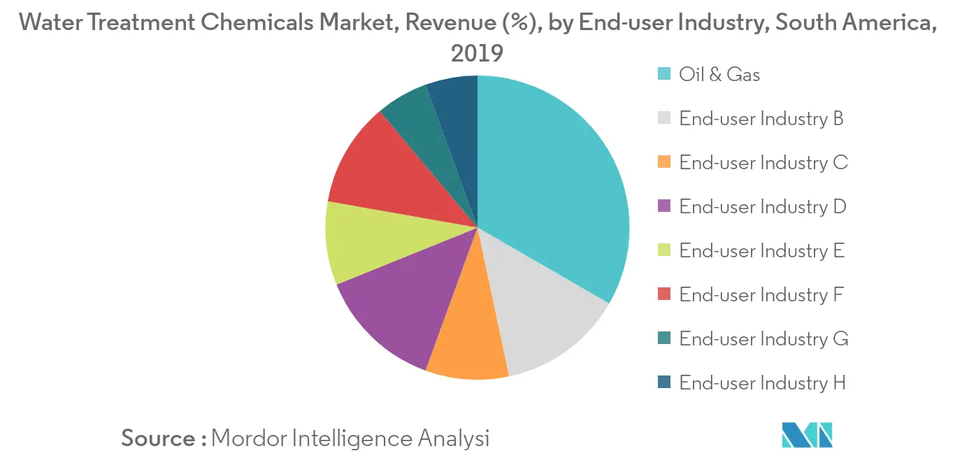 South America Water Treatment Chemicals - Revenue Share