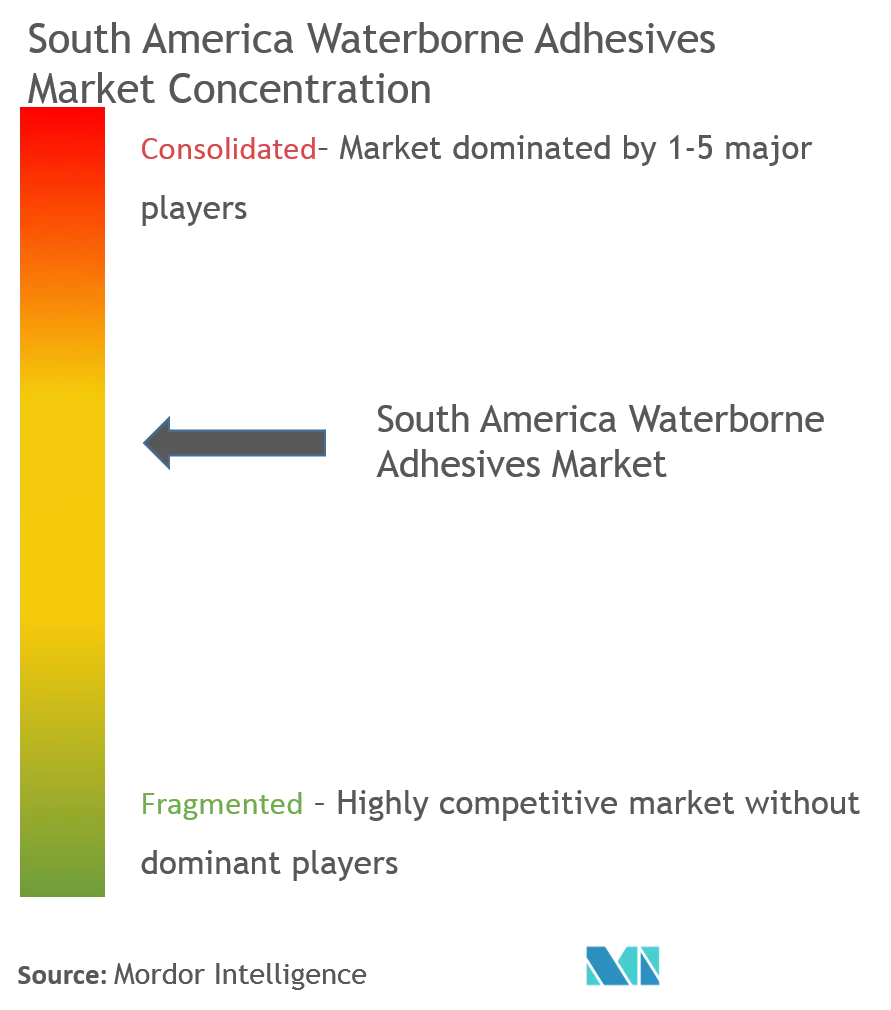 South America Waterborne Adhesives Market - Market Concentration.png