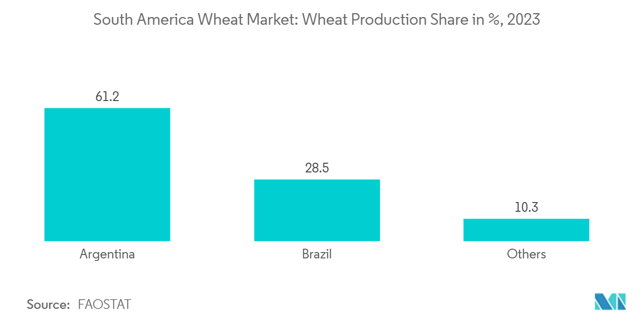 South America Wheat Market: Wheat Production Share in %, 2023