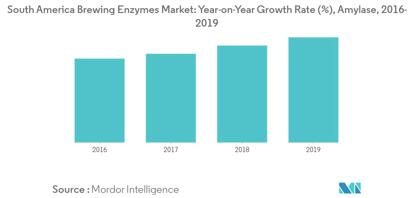 South America Brewing Enzymes Market1