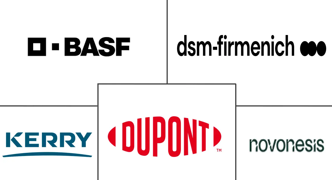 Major players in South American Brewing Enzymes industry