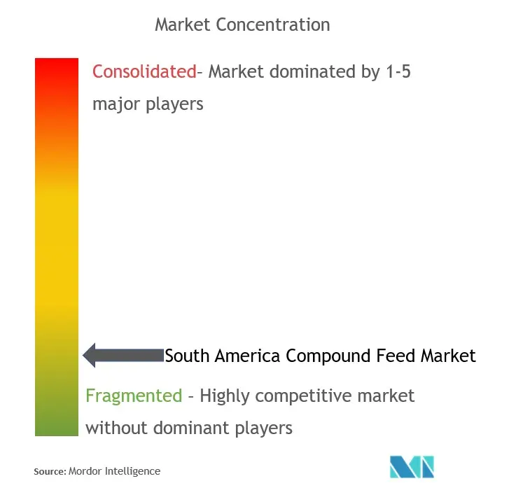 Pienso compuesto de América del SurConcentración del Mercado