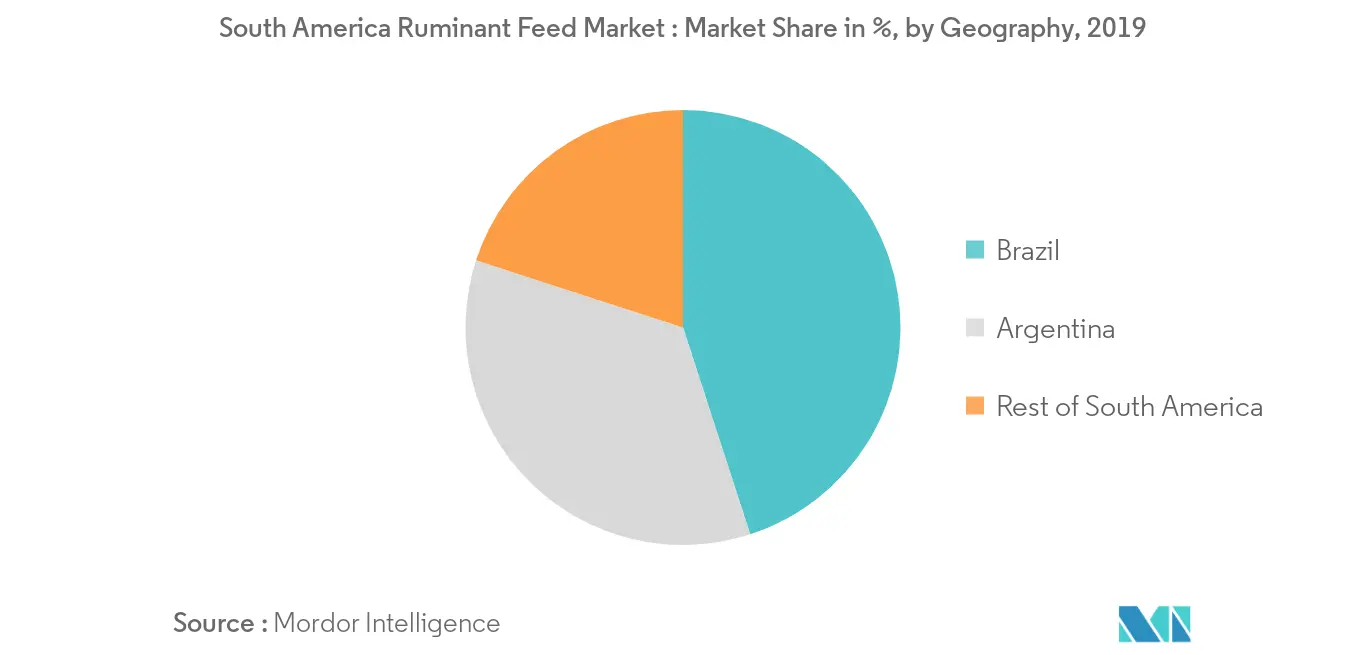 South America Ruminant Feed Market - Market Share (%), by Geography, 2019