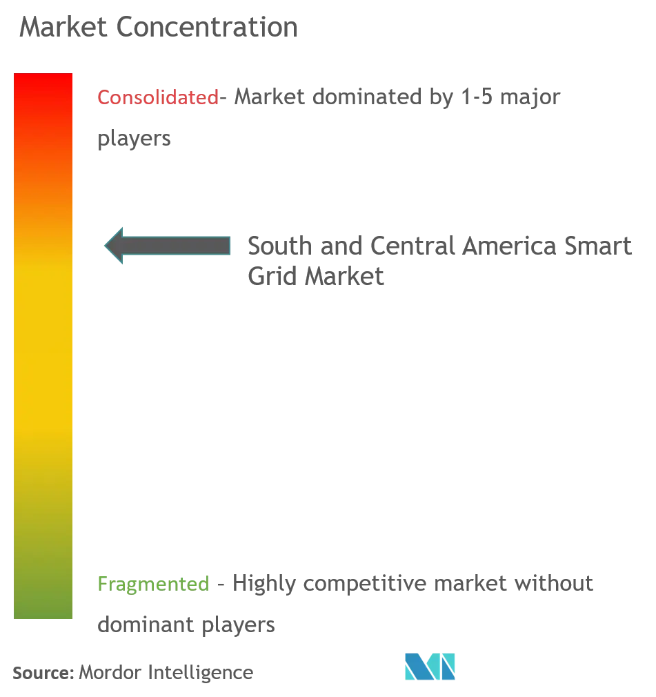 Market Concentration- South and Central America Smart Grid Neetwork Market.png