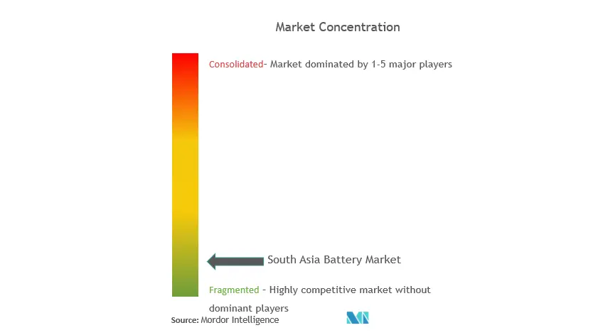 South Asia Battery Market Concentration.PNG