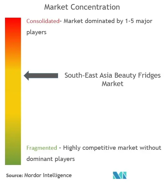 South East Asia Beauty Fridges Market Concentration South East Asia Beauty Fridges Market Concentration