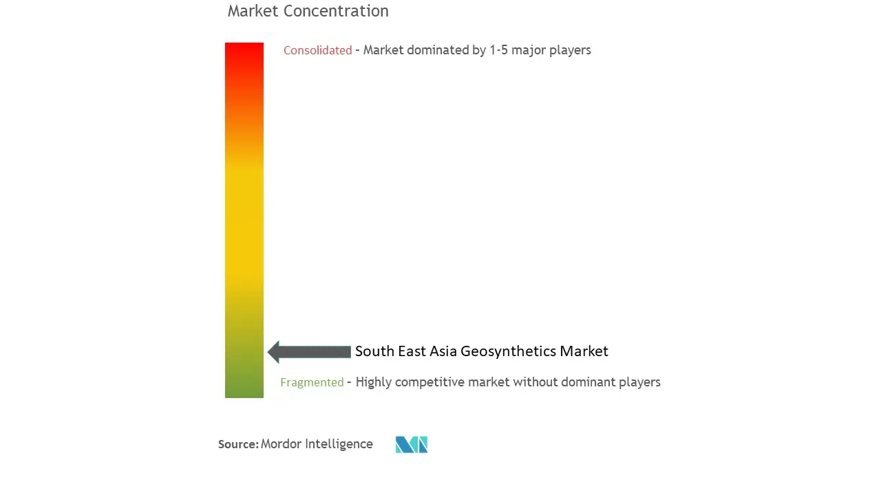 South East Asia Geosynthetics Market Concentration