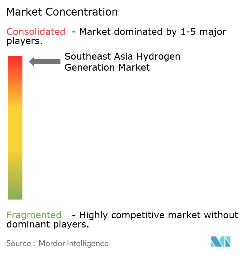 Southeast Asia Hydrogen Generation Market Concentration