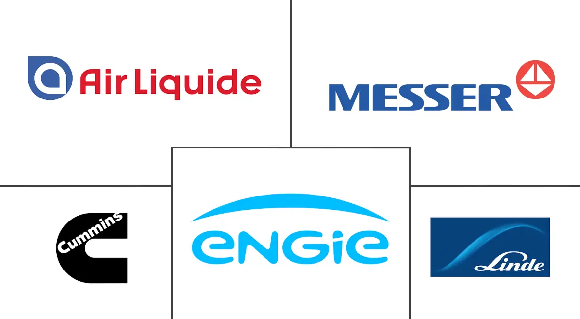 Southeast Asia Hydrogen Generation Market Major Players