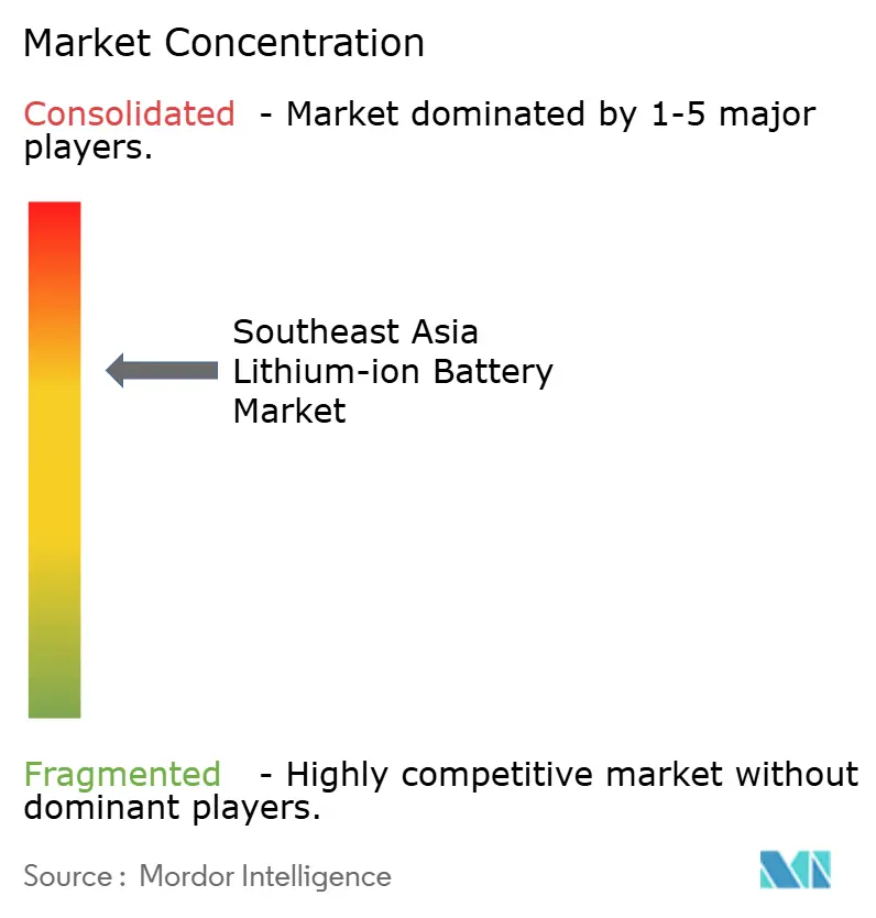 Southeast Asia Lithium-ion Battery Market Concentration