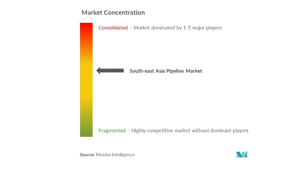 South-East Asia Oil And Gas Pipeline Market Concentration