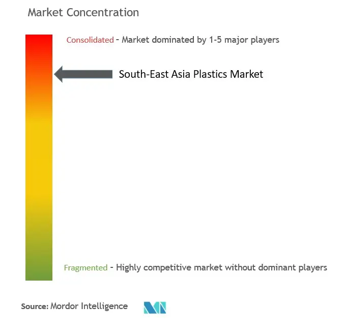 South-East Asia Plastics Market - Market Concentration
