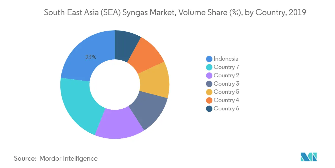 South-East Asia (SEA) Syngas Market, Volume Share (%), by Country