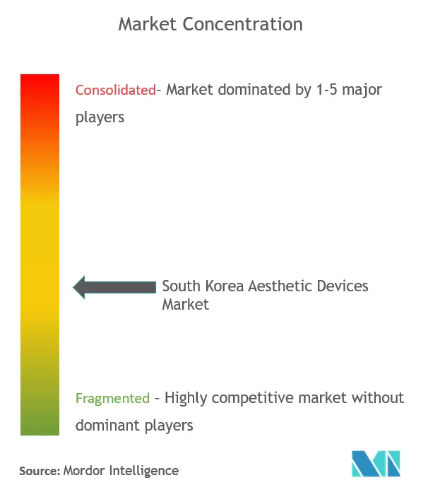South Korea Aesthetic Devices Market - Market Concentration.PNG