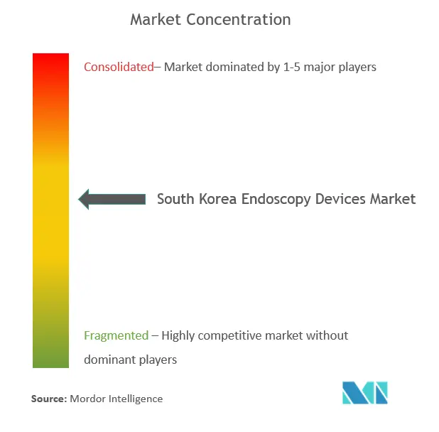 South Korea Endoscopy Market.png
